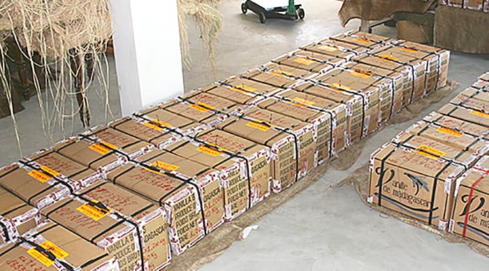 Caisses Cartons de Vanille en gousses